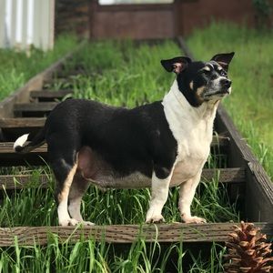 Meet your Posher, Nina